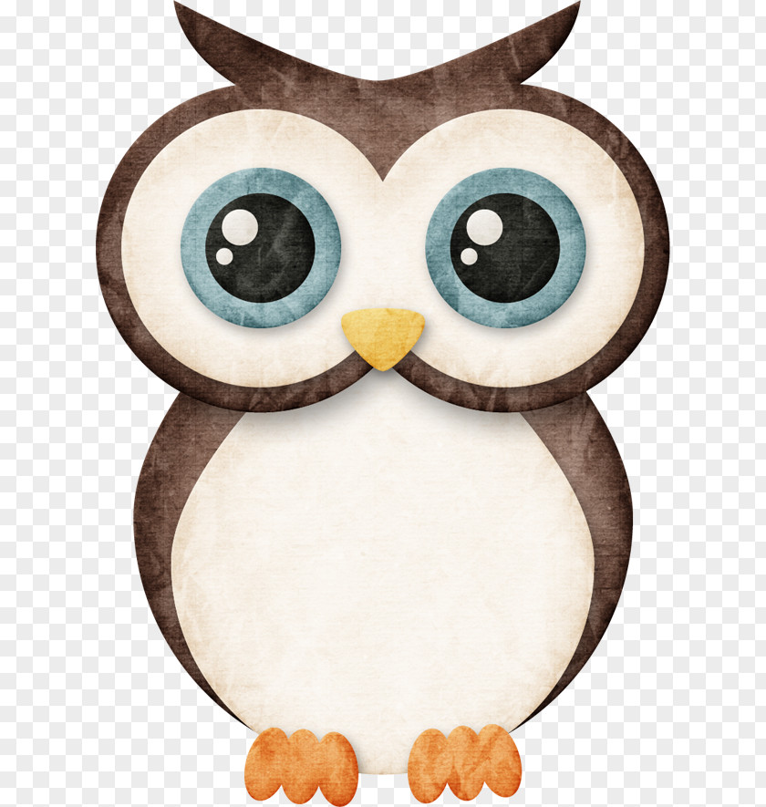 Owl Barn Bird Little Clip Art PNG