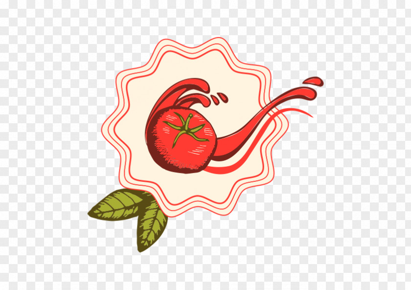 Tomato Euclidean Vector Illustration PNG