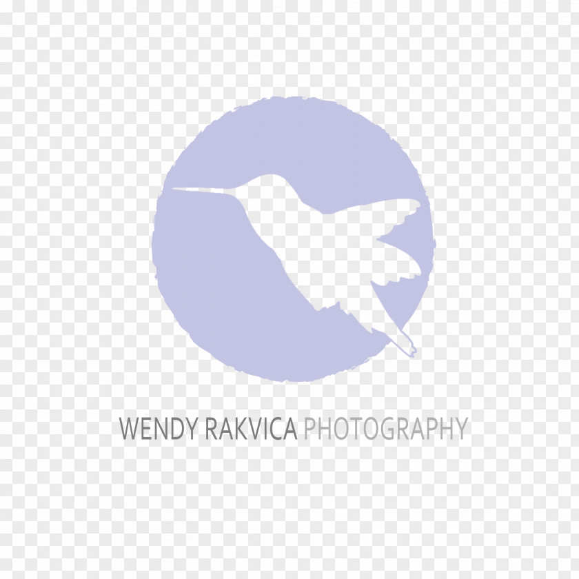 Wendy's Company Wendy Rakvica Photography Albany Logo Desktop Wallpaper Infant PNG