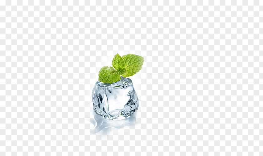 Ice Mint Electronic Cigarette Aerosol And Liquid Menthol PNG