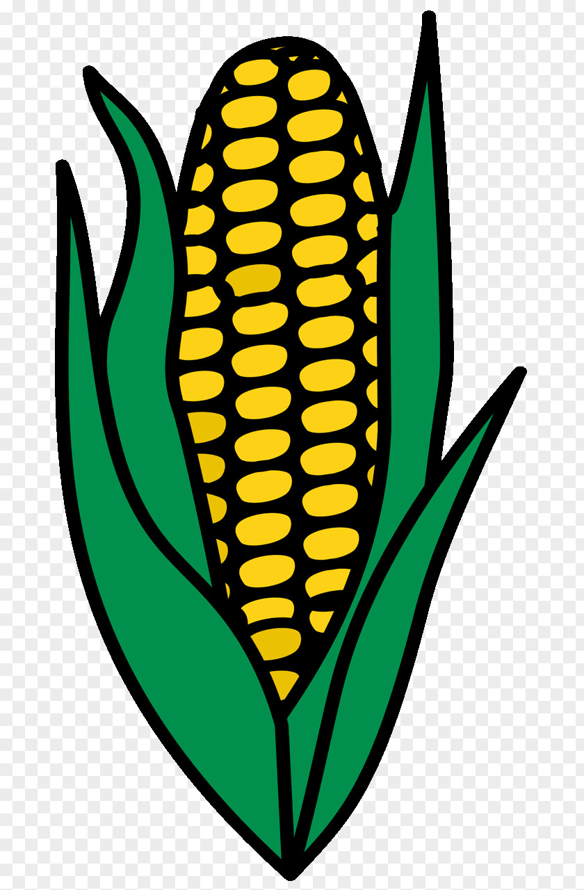 Realistic Clipart Corn On The Cob Sweet Maize Candy Clip Art PNG