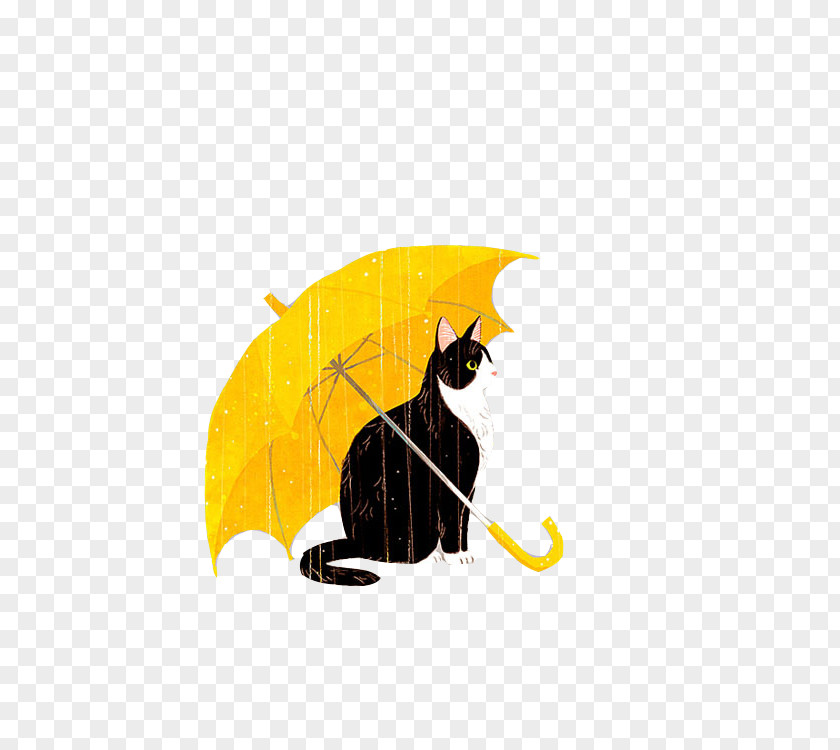 Stray Cat The Mother Ted Mosby Rain PNG