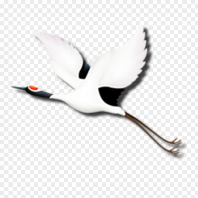 White Crane Red-crowned Siberian Mid-Autumn Festival PNG