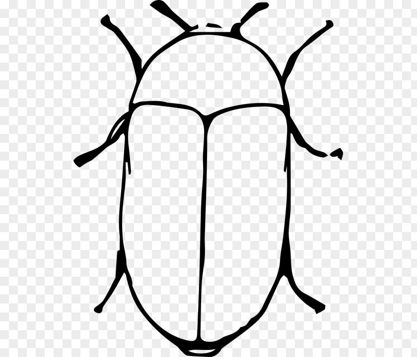 Colouring Hitam Putih Beetle Ant Image Cartoon Vector Graphics PNG