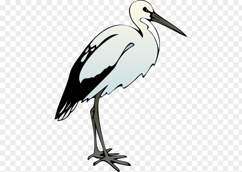 Ibis Cliparts American White Clip Art PNG