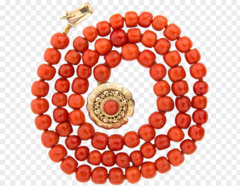 Orange Bead Gemstone Red Coral PNG