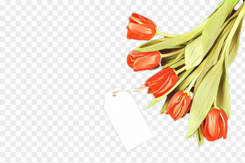Peperoncini Plant Tabasco Pepper Malagueta Tulip PNG