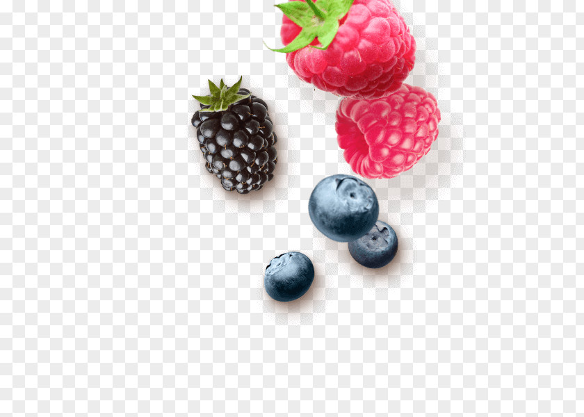 Raspberry Boysenberry Bilberry Blueberry Strawberry PNG