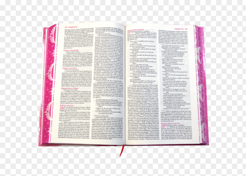 Sheila E Biblia Sagrada Da Princesinha Bible Thomas Nelson PNG