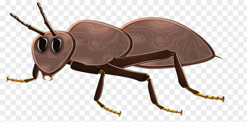 Termite Animal Figure Ant Cartoon PNG