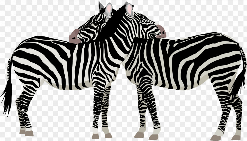 Zebra Horse Clip Art PNG