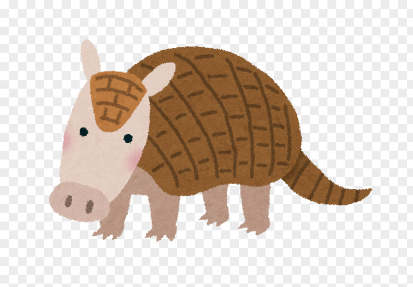 Armadillo いらすとや Terrestrial Animal PNG
