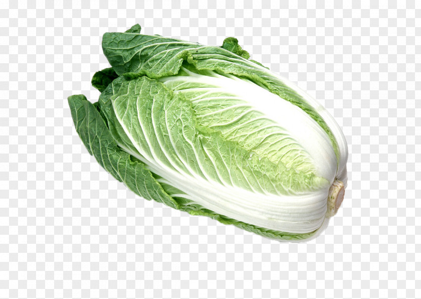 Chinese Cabbage Hot Pot Choy Sum Napa Vegetable PNG