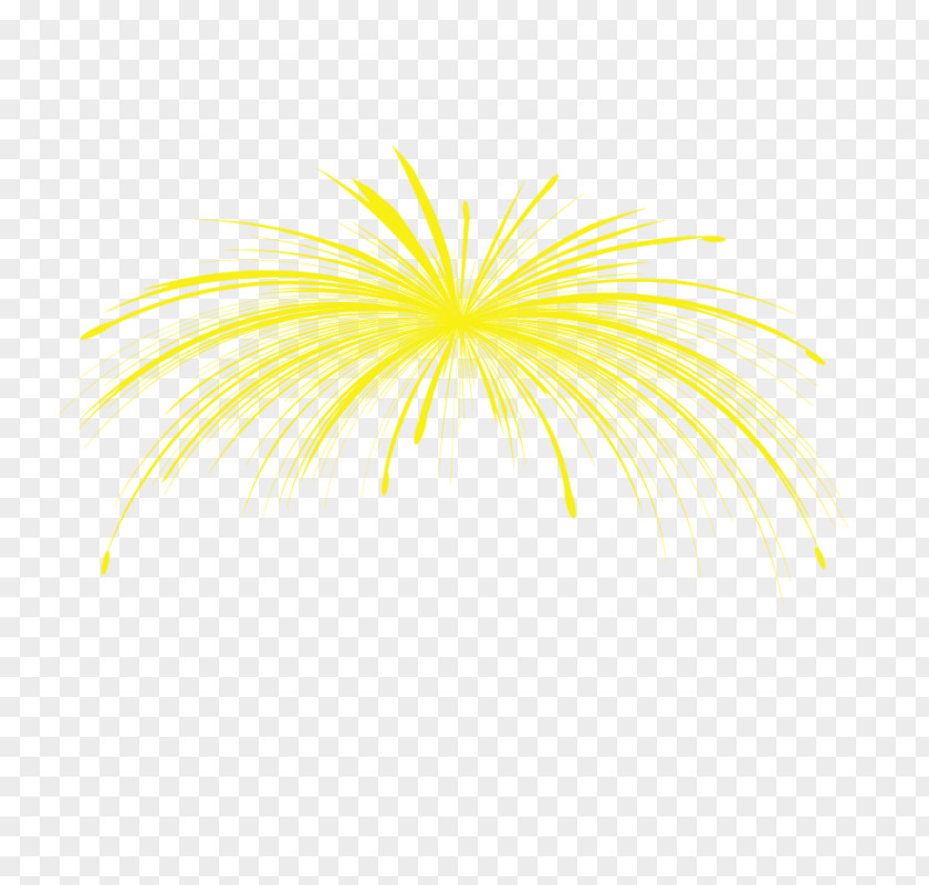 Fireworks Graphic Design PNG