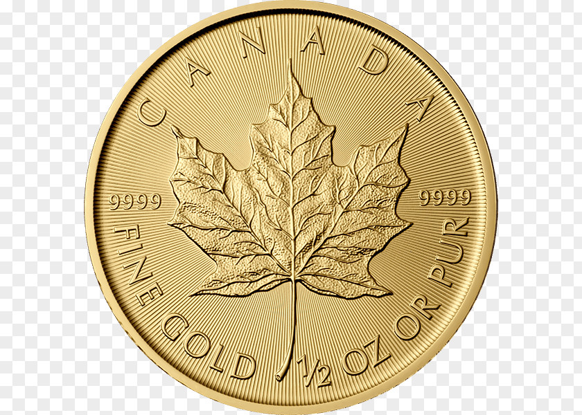 Gold Canadian Maple Leaf Bullion Coin Silver PNG