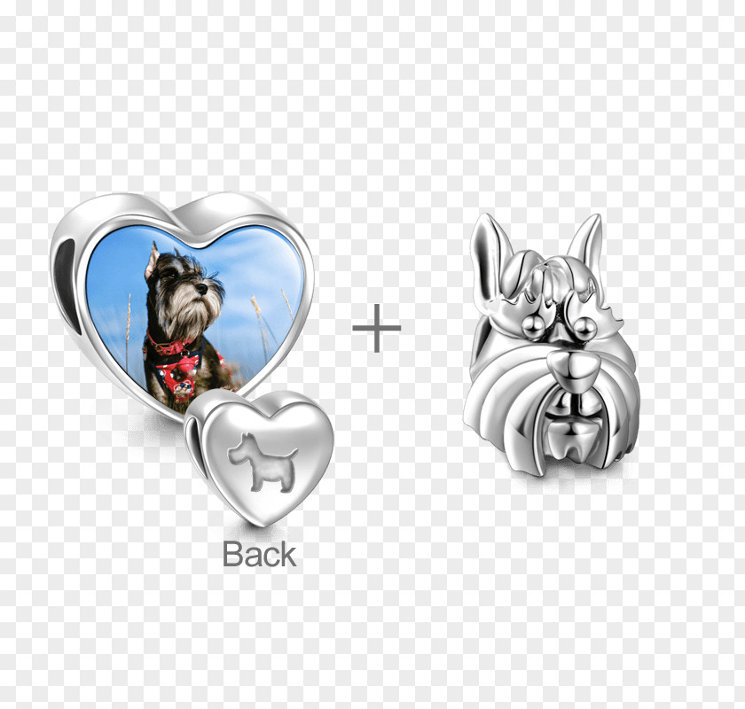 Jewellery Earring Charm Bracelet Charms & Pendants PNG