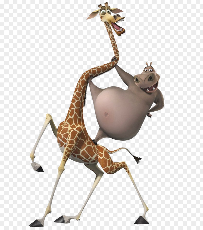 Marty Madagascar Melman Gloria Alex Giraffe PNG