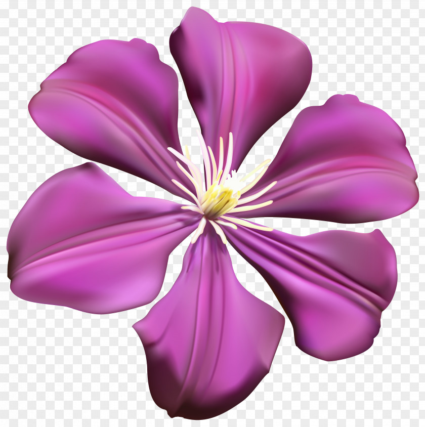 Purple Flower Transparent Clip Art Image PNG