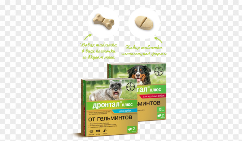 Bone Dog Pharmaceutical Drug Bayer Tablet Disease PNG