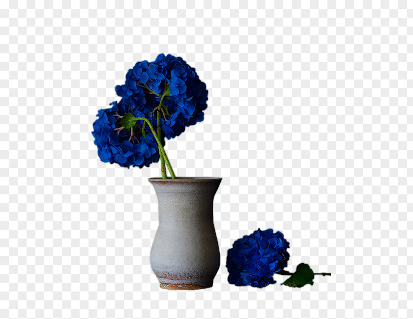 Brad Pitt Flower Vase Floral Design PNG