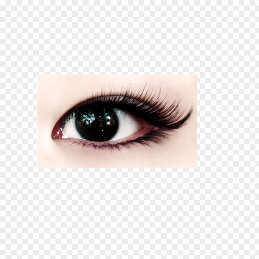 Eye Download Icon PNG