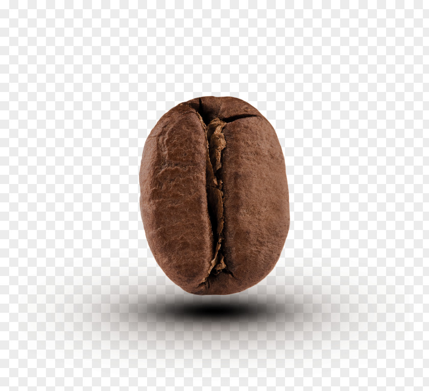 Light Bean Coffee Cafe Cocoa Food Grain PNG