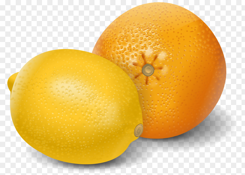 Limon Lemon Orange Lime Clip Art PNG