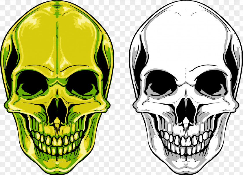 Skull Euclidean Vector PNG