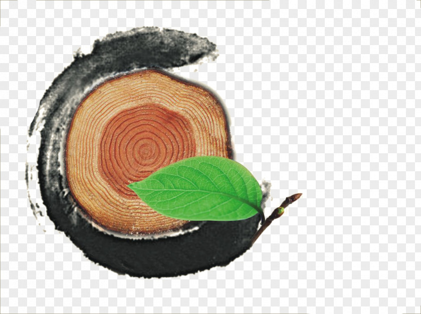 Wood Firewood Varnish Lacquer PNG