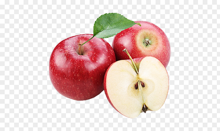 Apple Adobe Photoshop Fruit Clip Art PNG