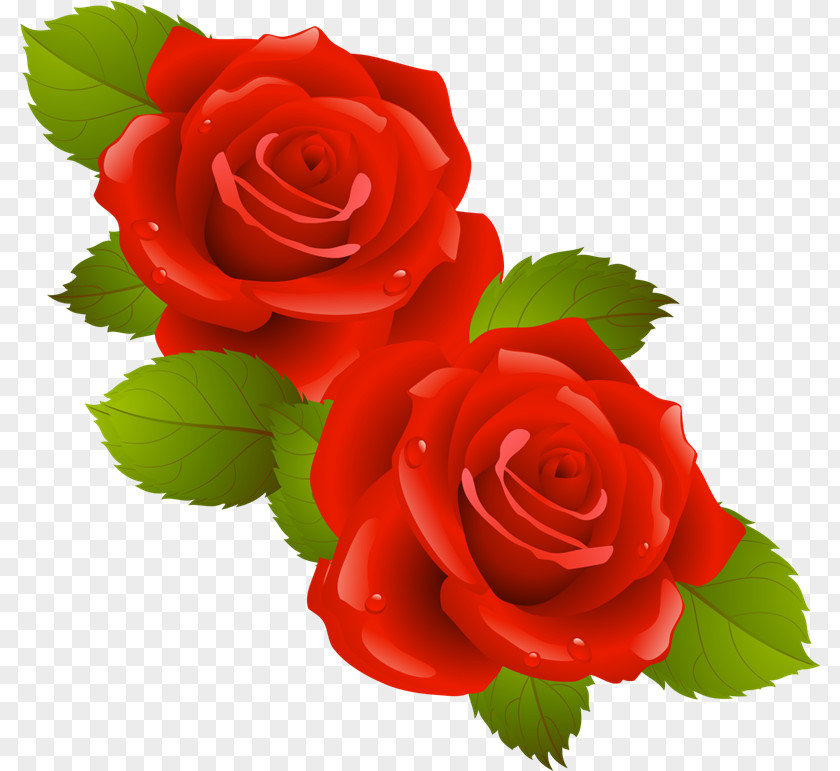 Flores Rojas Computer Network Clip Art PNG