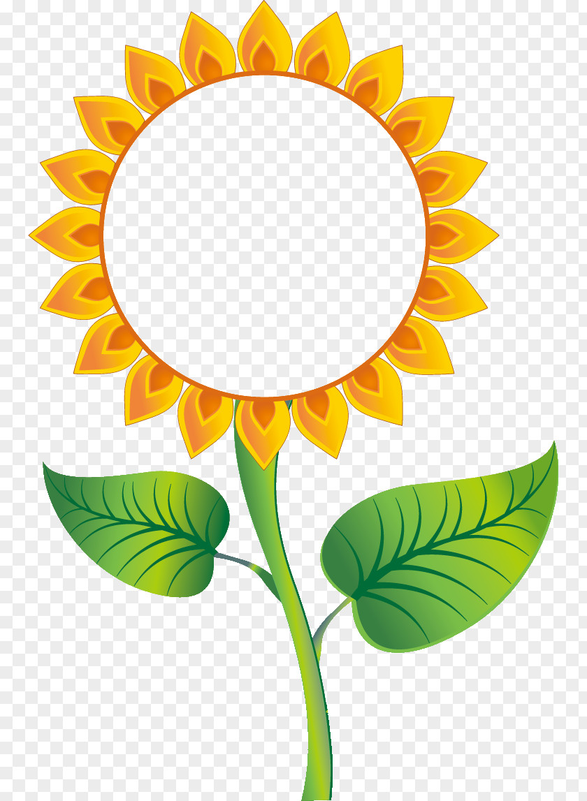 Flower Vector Graphics Common Sunflower Sunflowers Poster PNG