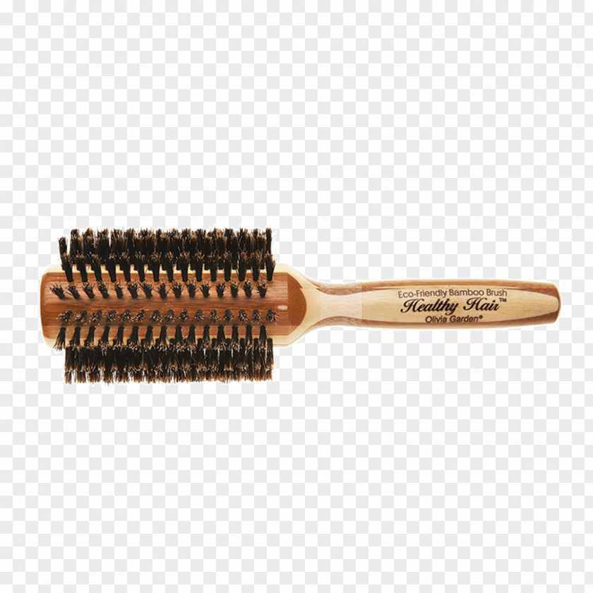 Hair Hairbrush Comb Wild Boar PNG