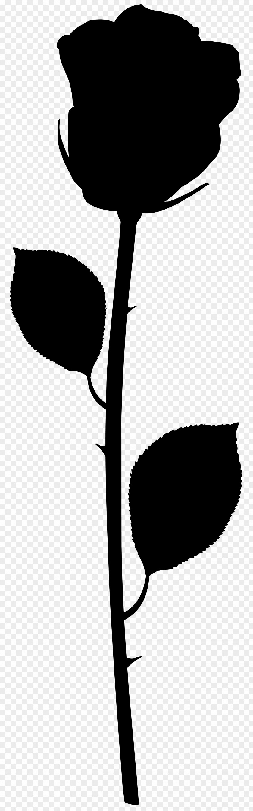 Leaf Clip Art Plant Stem Silhouette Flowering PNG