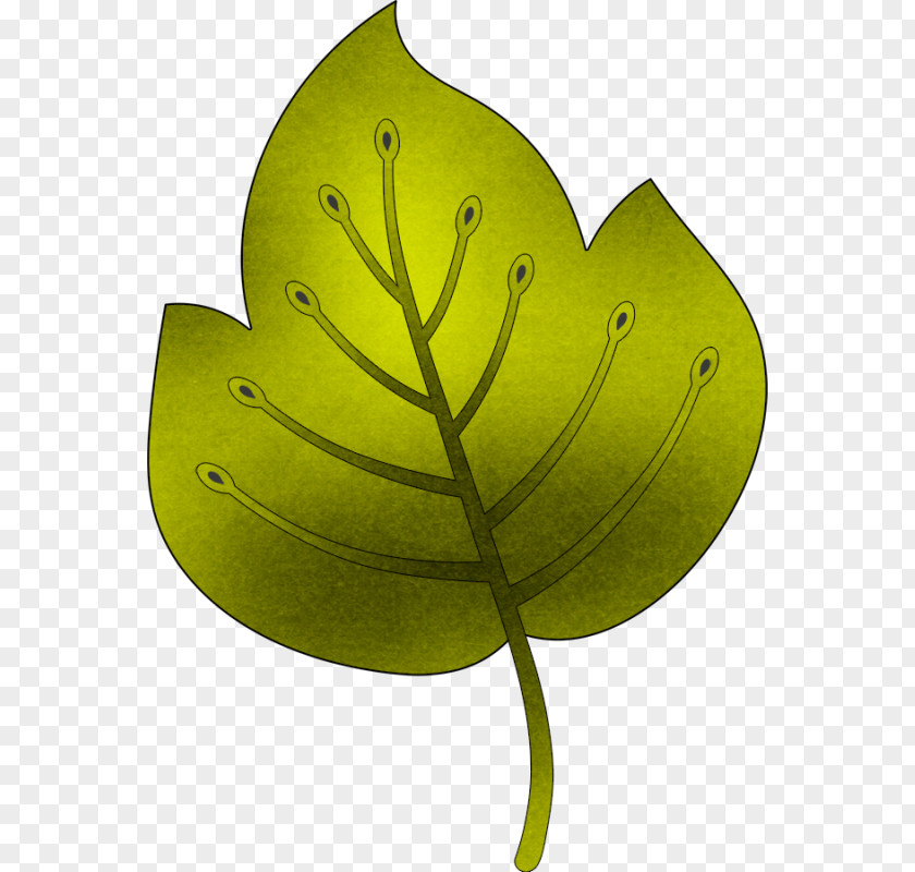 Leaf Product Design Plant Stem PNG