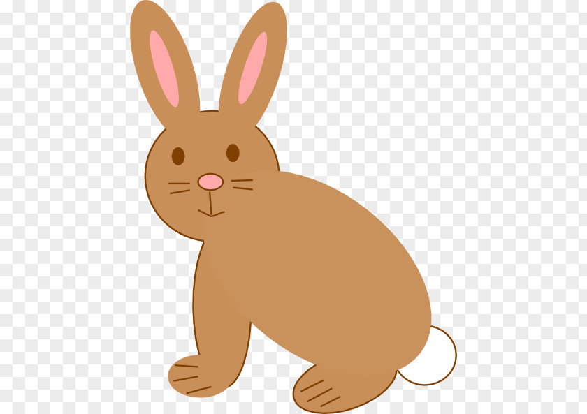 Rabbit Easter Bunny Mini Lop Clip Art PNG