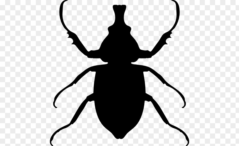 Beetle Silhouette Clip Art PNG