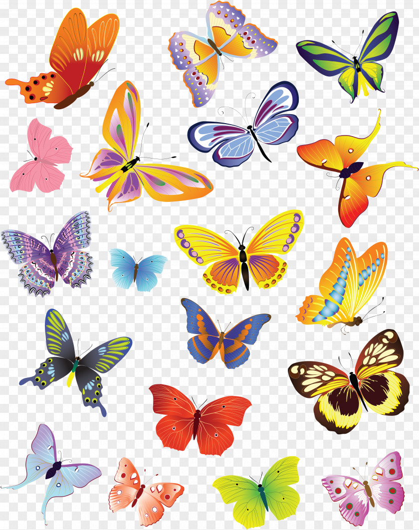 Purple Butterfly Drawing Clip Art PNG