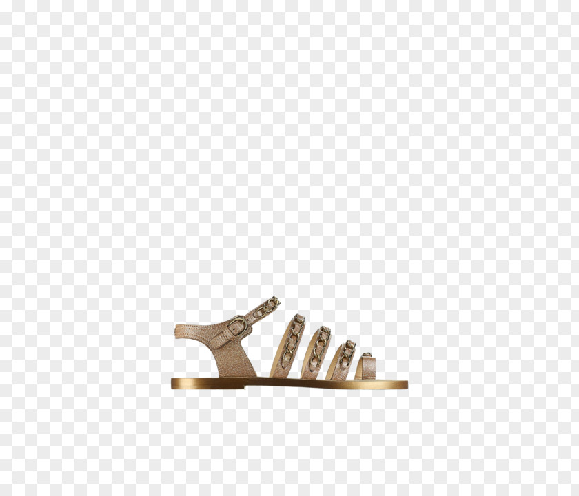 Sandal Shoe PNG