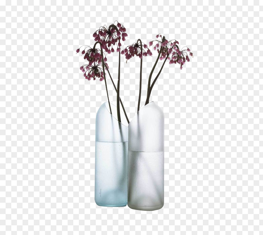 Vase Glass Iittala Bottle PNG