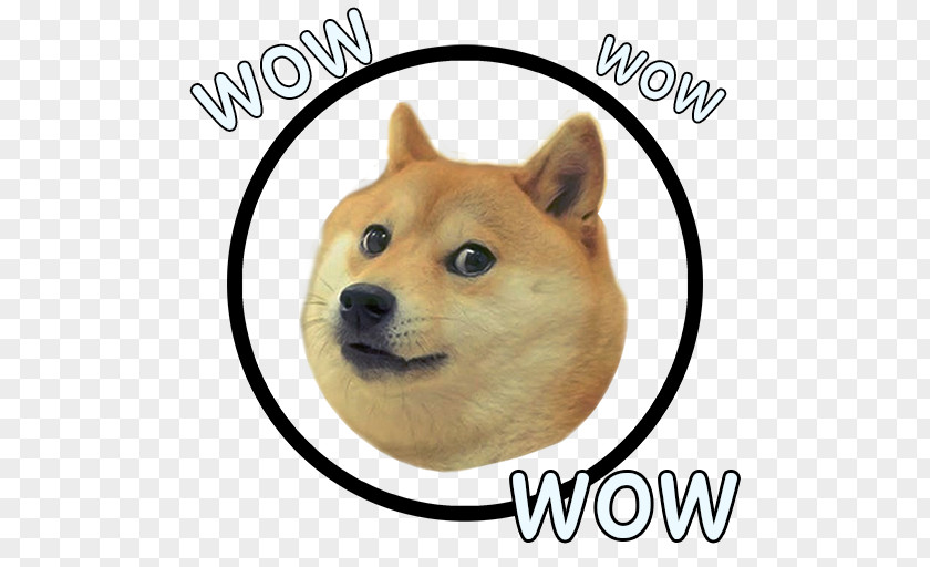 World Of Warcraft Shiba Inu Dogecoin Doge Run PNG