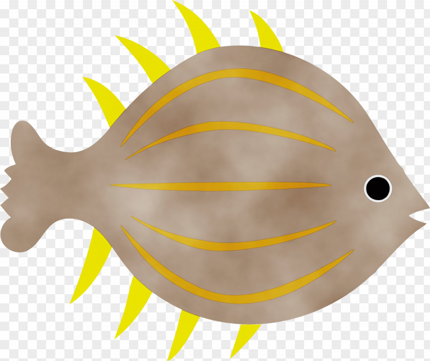 Yellow Fish Biology Science PNG