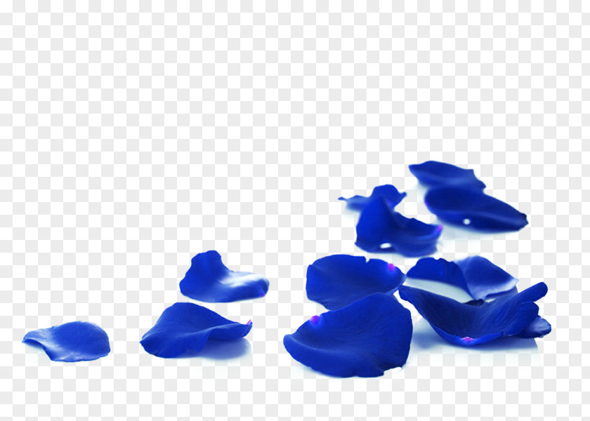 BLUELOVER Rose Petals Petal Stock Photography Red PNG