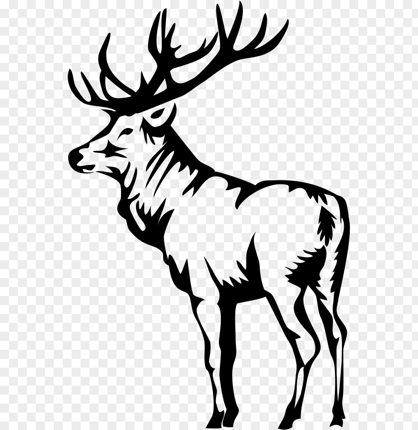 Deer Elk Clip Art PNG