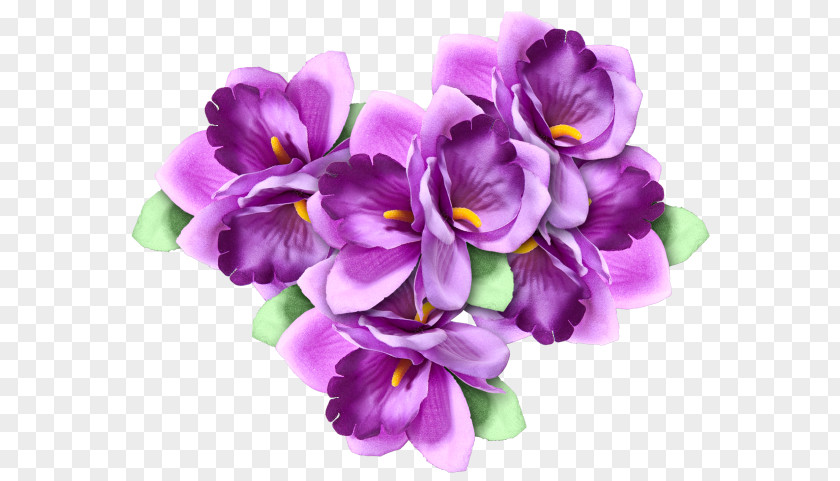 GIMP Rose Adobe Animate Cut Flowers PNG