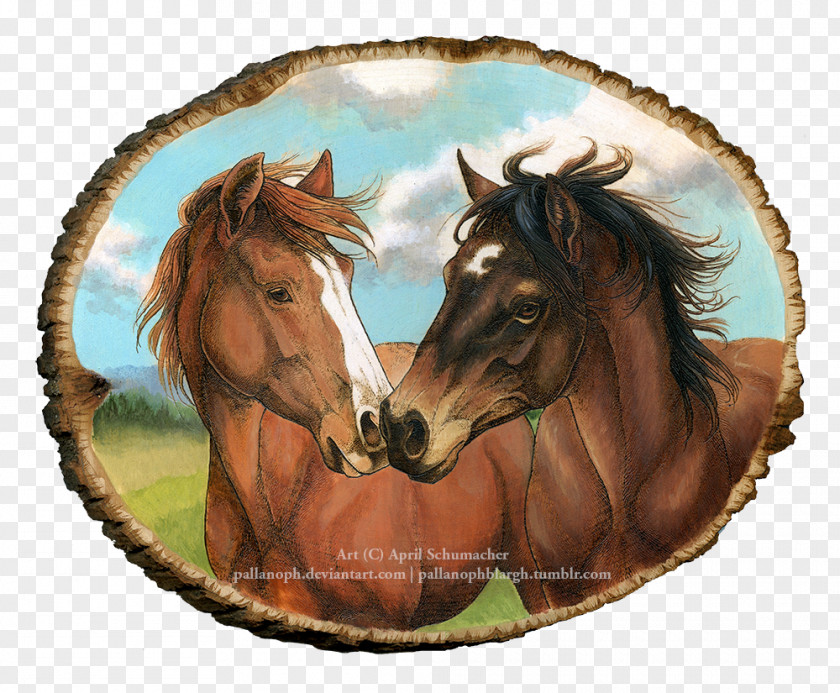 Golden Texture Shading Pictures Mustang Foal Stallion Pony Halter PNG