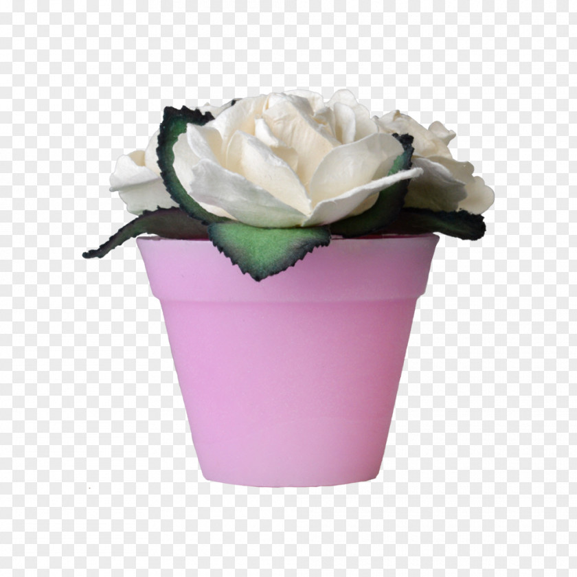 Rose Flower Pots Cut Flowers Vase Flowerpot Rosaceae PNG