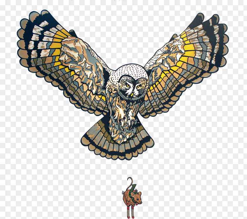 Kite Accipitridae Pixel Art Owl PNG