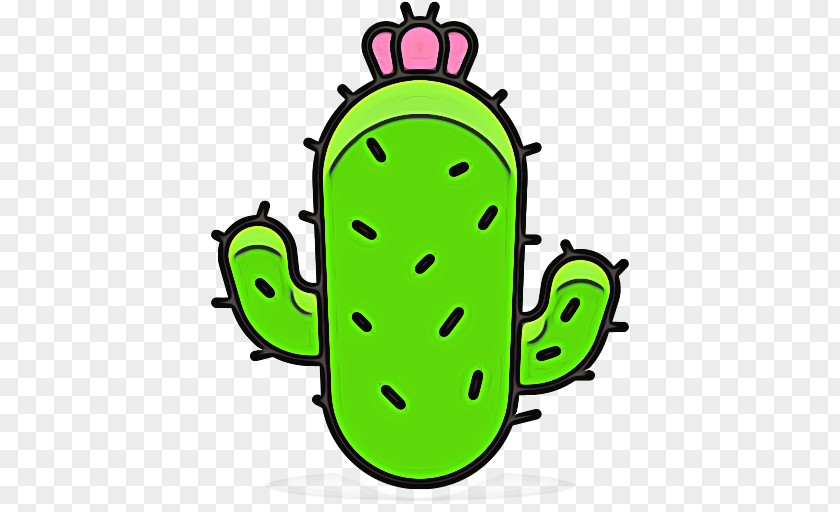 Plant Green Cactus Cartoon PNG