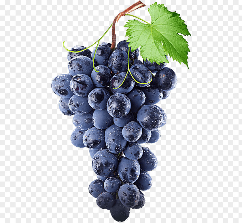 Wine Concord Grape White Kyoho PNG